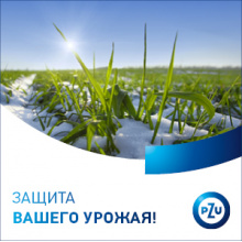 Традиция агрострахования - в мире и в Украине