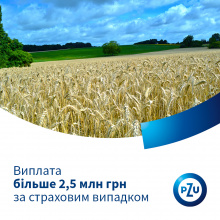 PZU Україна виплатила більше 2,5 млн. грн. за страховим випадком