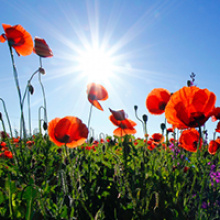 Помним наших героев