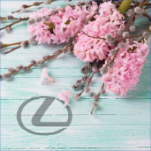 Весняний тариф на КАСКО – 2,7% від ПЗУ Україна для клієнтів автосалону Лексус Дніпро Центр