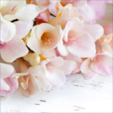 Поздравление с праздником женственности