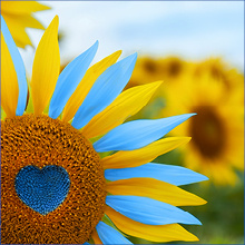 С Днём Независимости Украины!