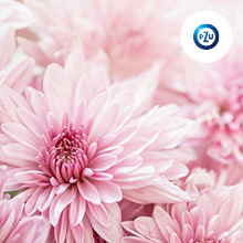 Поздравление с международным женским днём