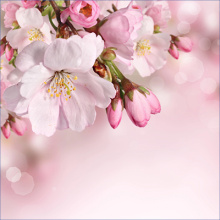 Поздравление с международным женским днем