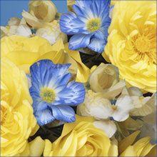 С Днем Независимости Украины!