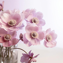 Весна, которая вдохновляет: слова благодарности женщинам!